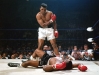 observer_ali_liston.jpg