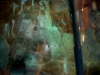 bus-discovery.png